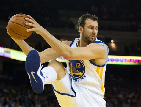 andrew bogut warriors.